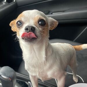 Meet your Posher, Mckinley